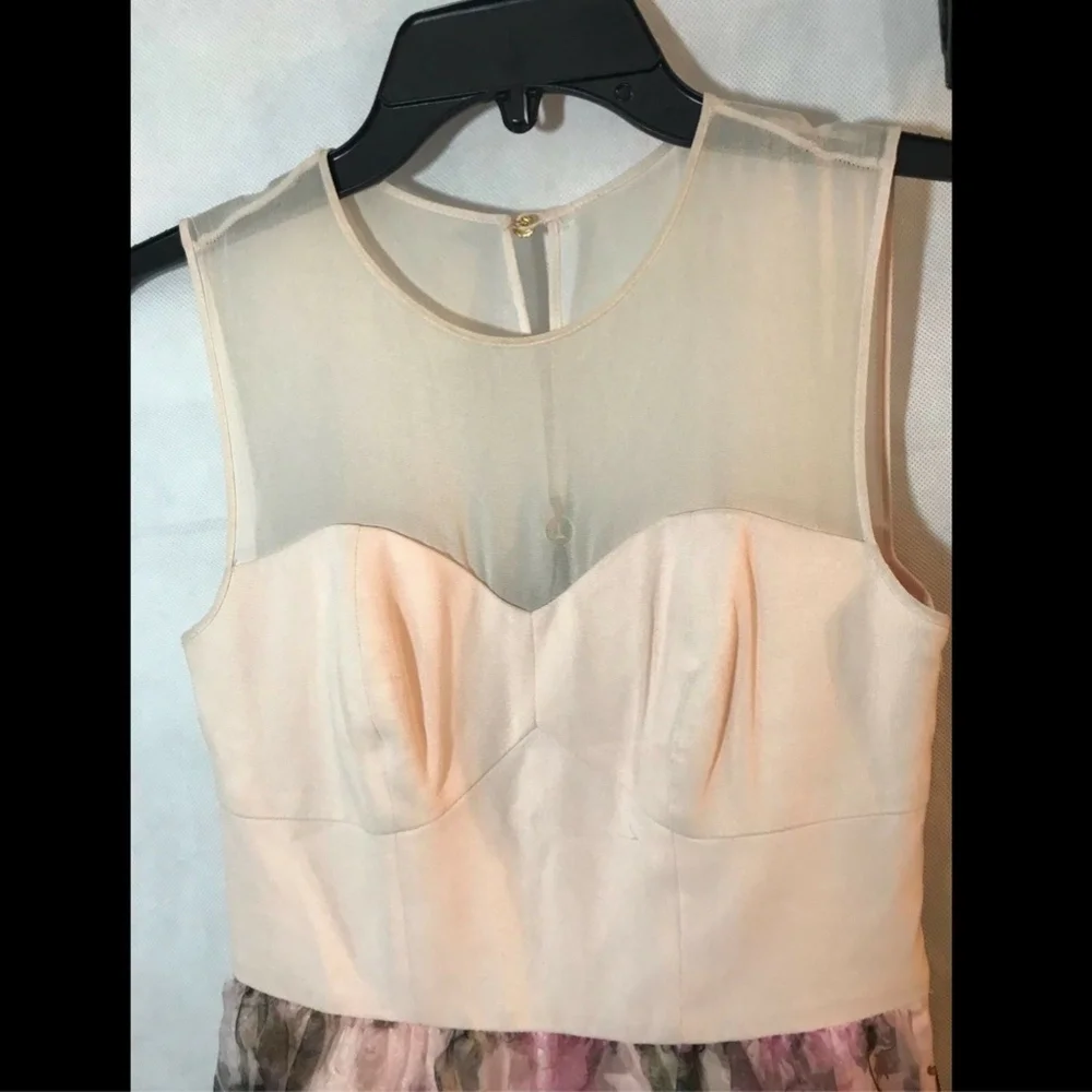 $675 Ted Baker 'Faunia' Torchlit Floral Ballet‎ Dress Pink [SZ 1 in TB]